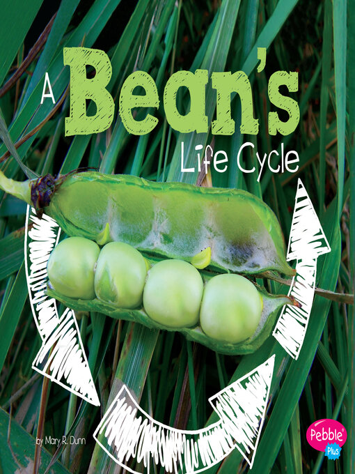 Title details for A Bean's Life Cycle by Mary R. Dunn - Available